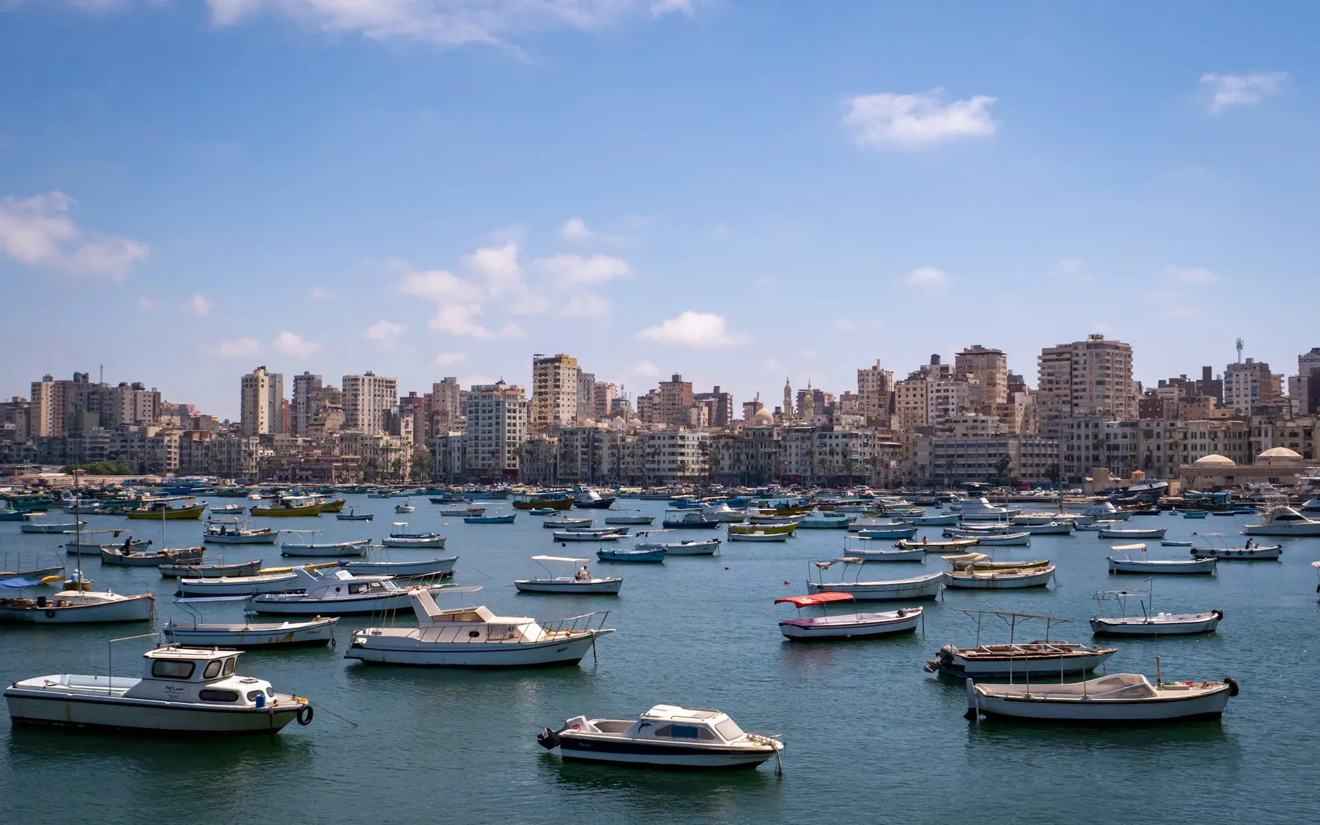 قوارب في ميناء الإسكندرية